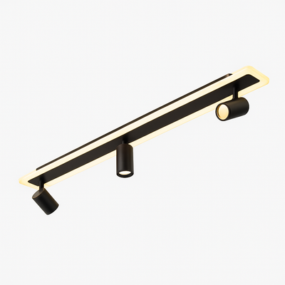 Ceiling Lights