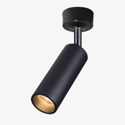 Cylinder track spotlight