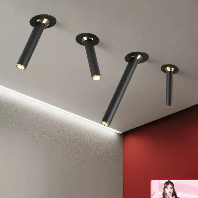 Adjustable spotlight