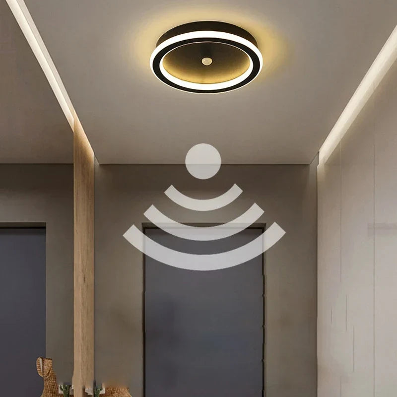Motion sensor ceiling light