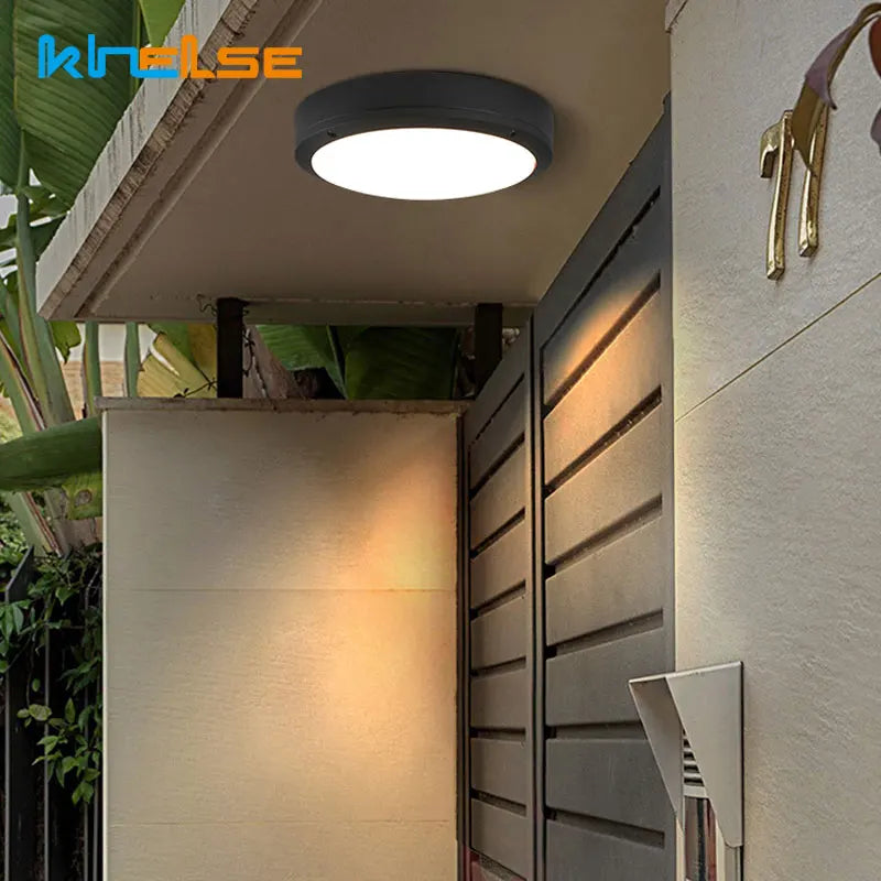 Outdoor ceiling light