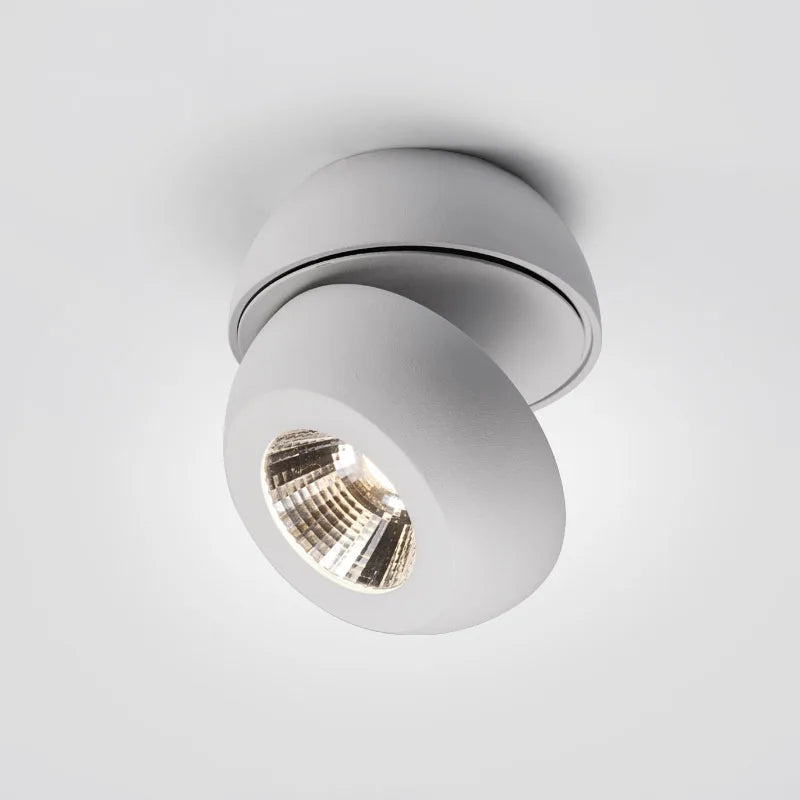 Ceiling spot light