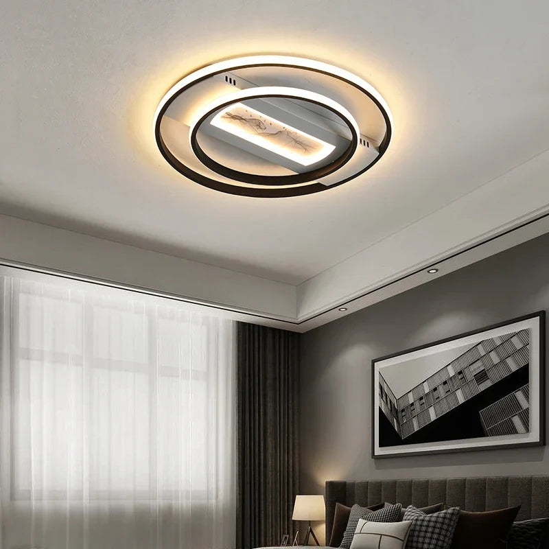 Creative modern ceiling light