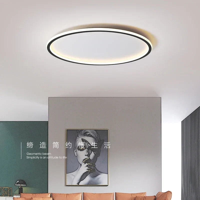 Functional flush mount