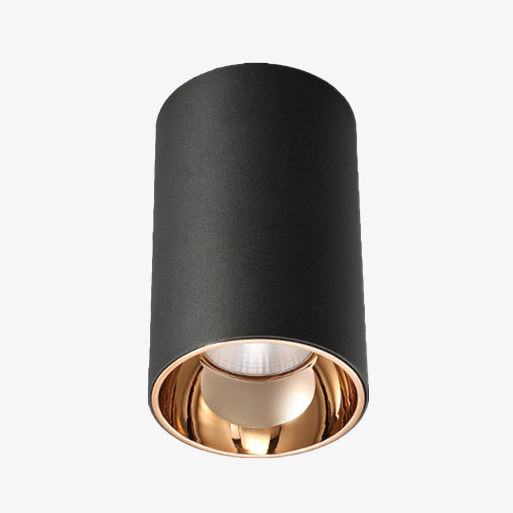 Gold interior spotlight