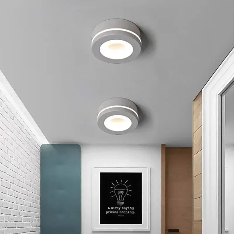 Small LED ceiling light
