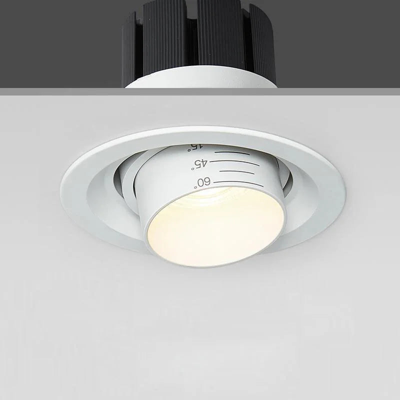 Dimmable zoom downlight