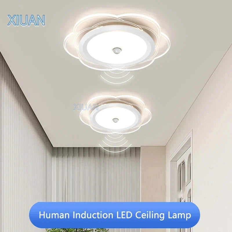 Infrared sensor ceiling light