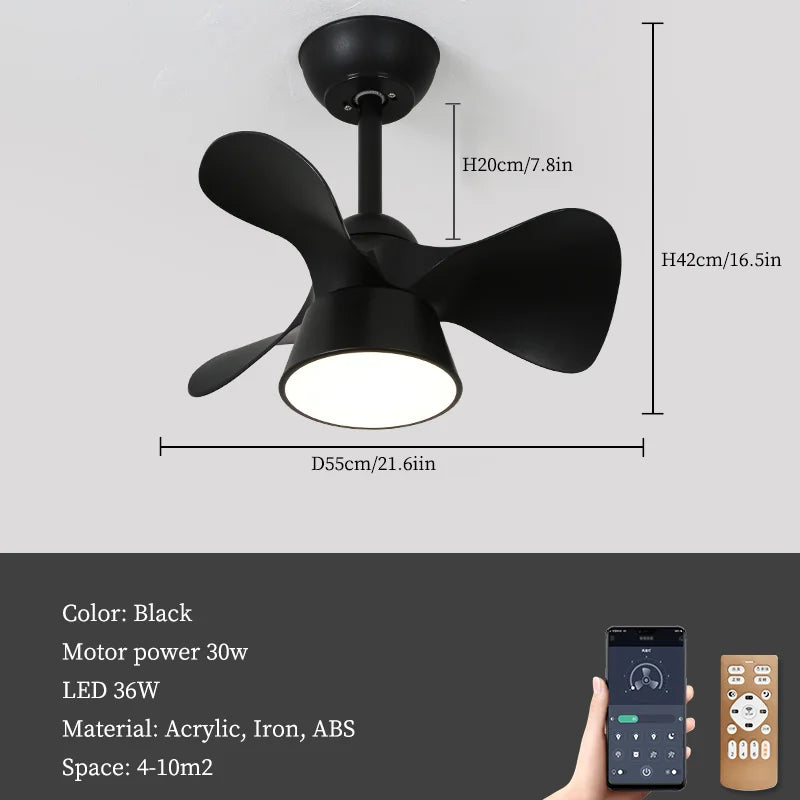 Ventola Fan, view 10