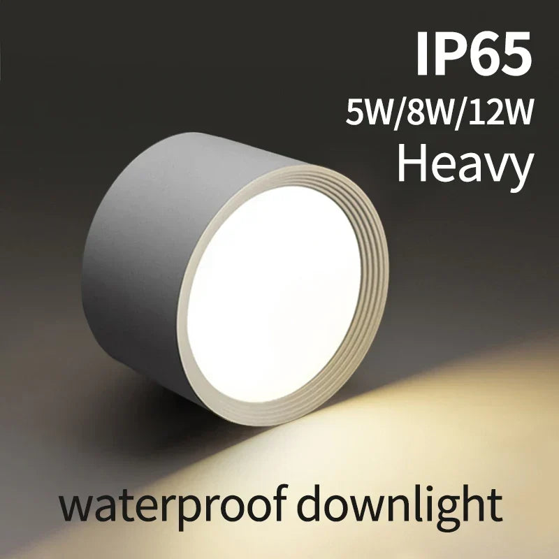 Waterproof outdoor ceiling light