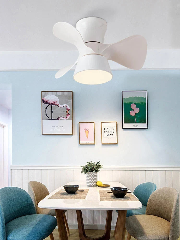 Ceiling fan with light