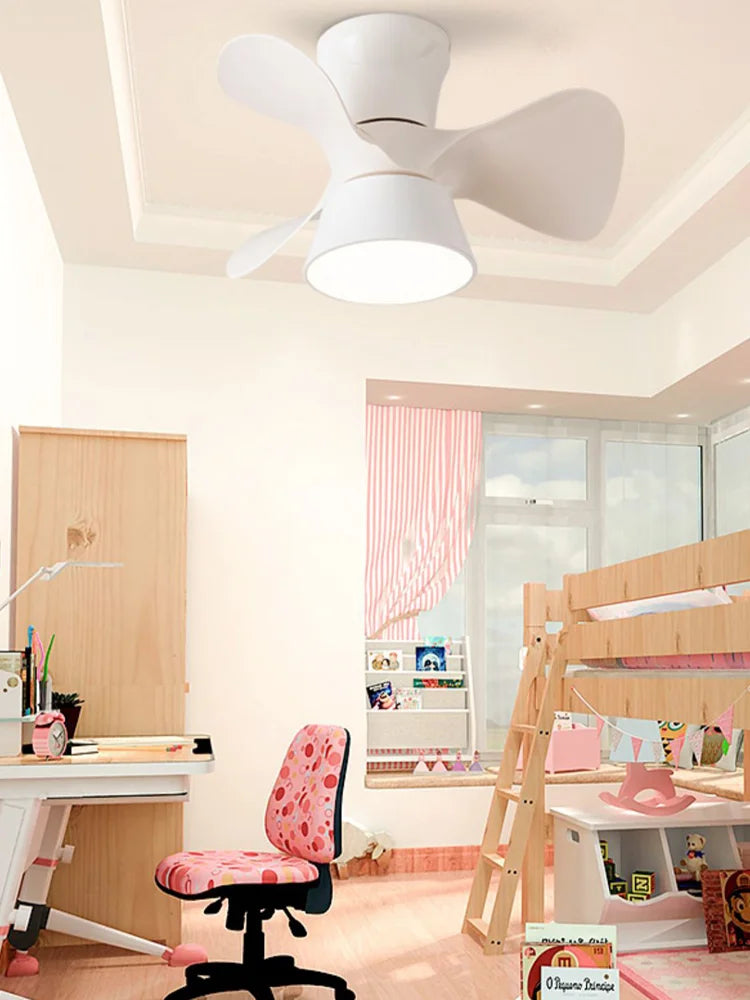 Ventola Fan, view 4