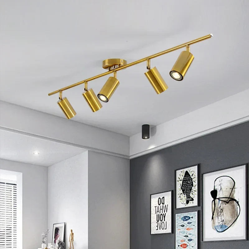 Brass ceiling light