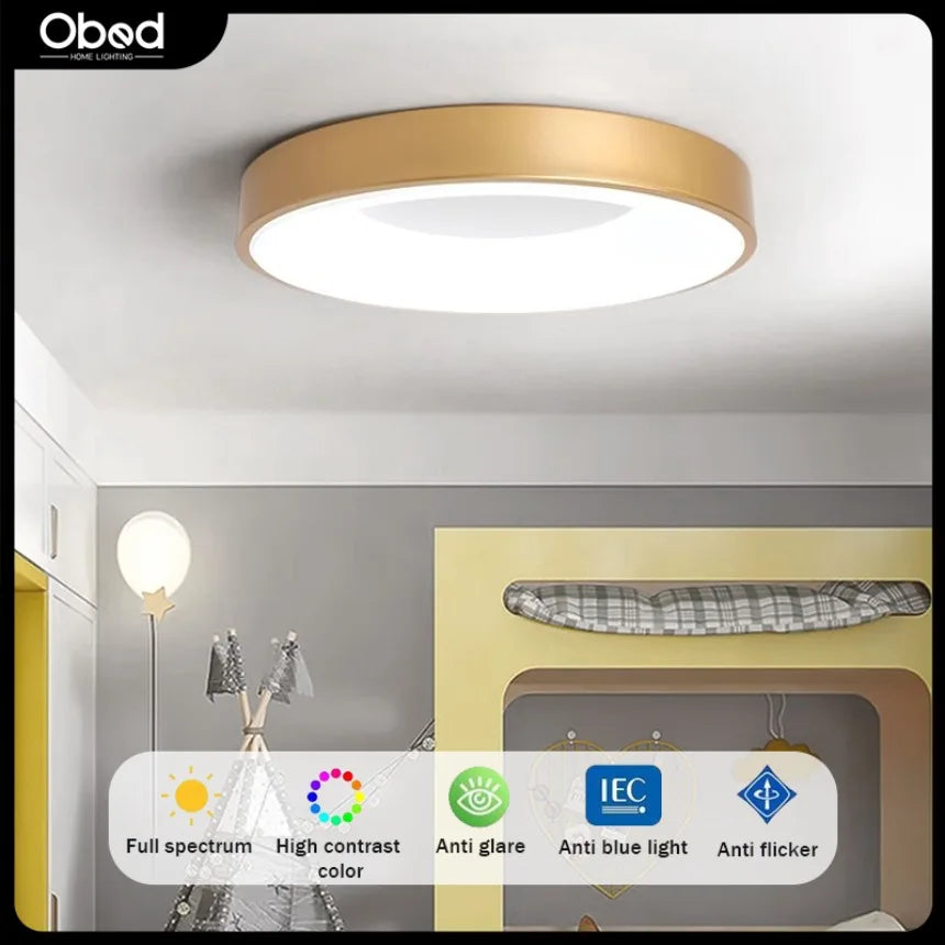 Wood grain round ceiling light