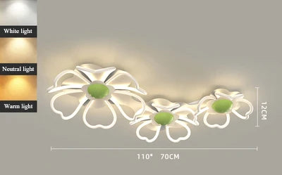 Fiore Camera, view 8