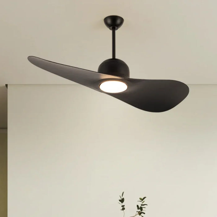 Modern ceiling fan light