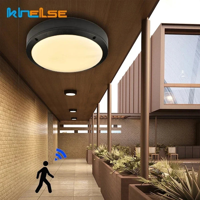 Motion sensor ceiling light