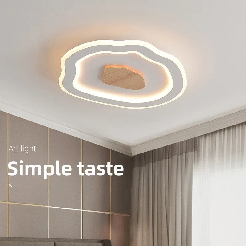 Simple Nordic ceiling light