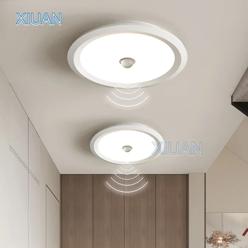 Motion sensor ceiling light