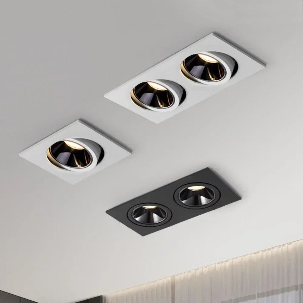 Twin head downlight