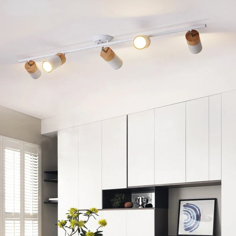 Spot light ceiling fixture
