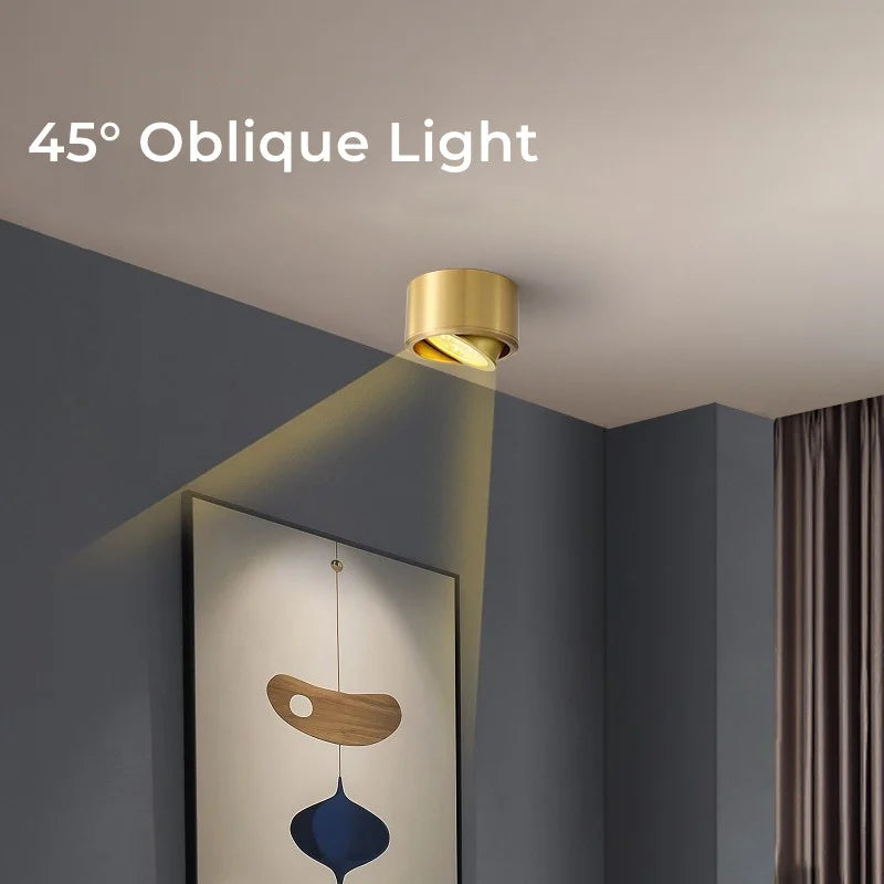 Adjustable ceiling spot
