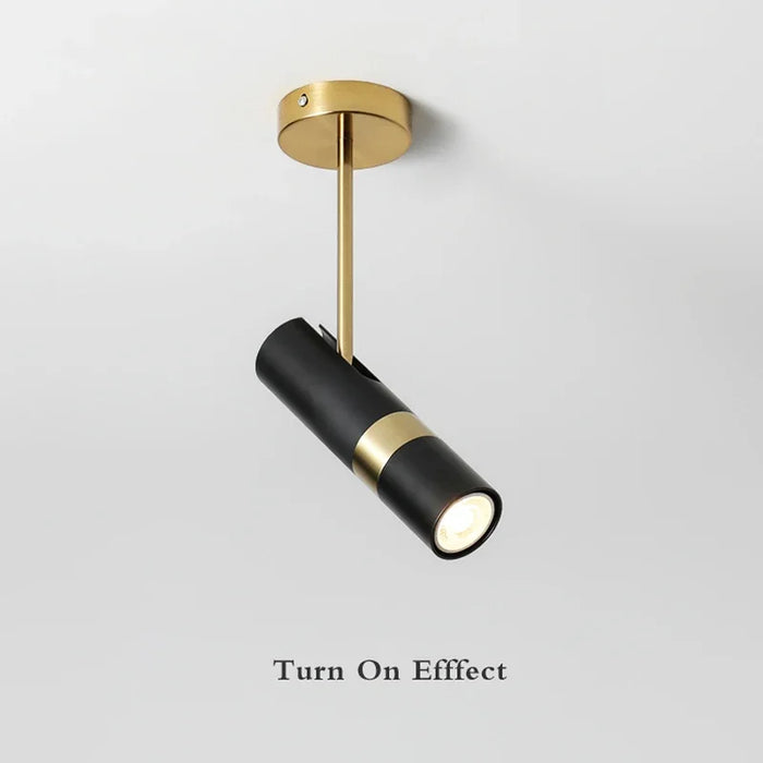 Adjustable spotlight