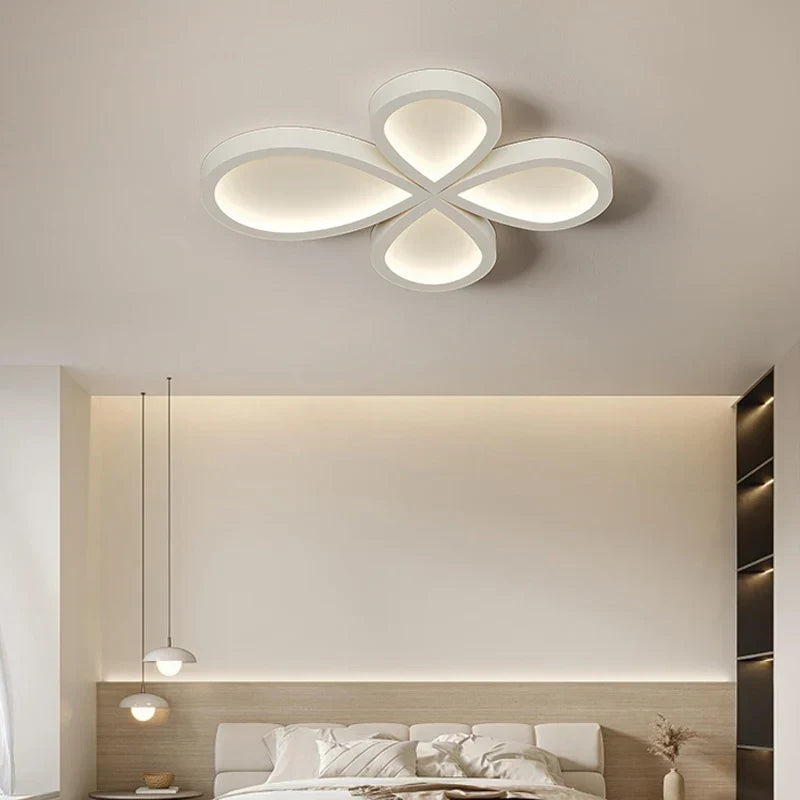 Petali Moderni, view 3