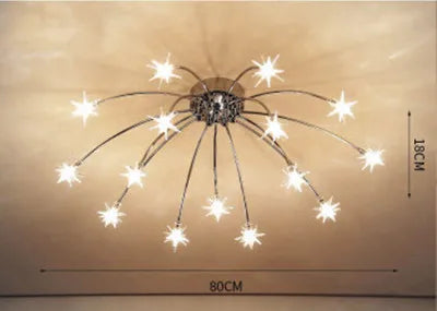 Cielo Starry, view 10