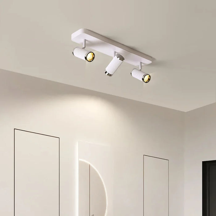 Adjustable ceiling spot