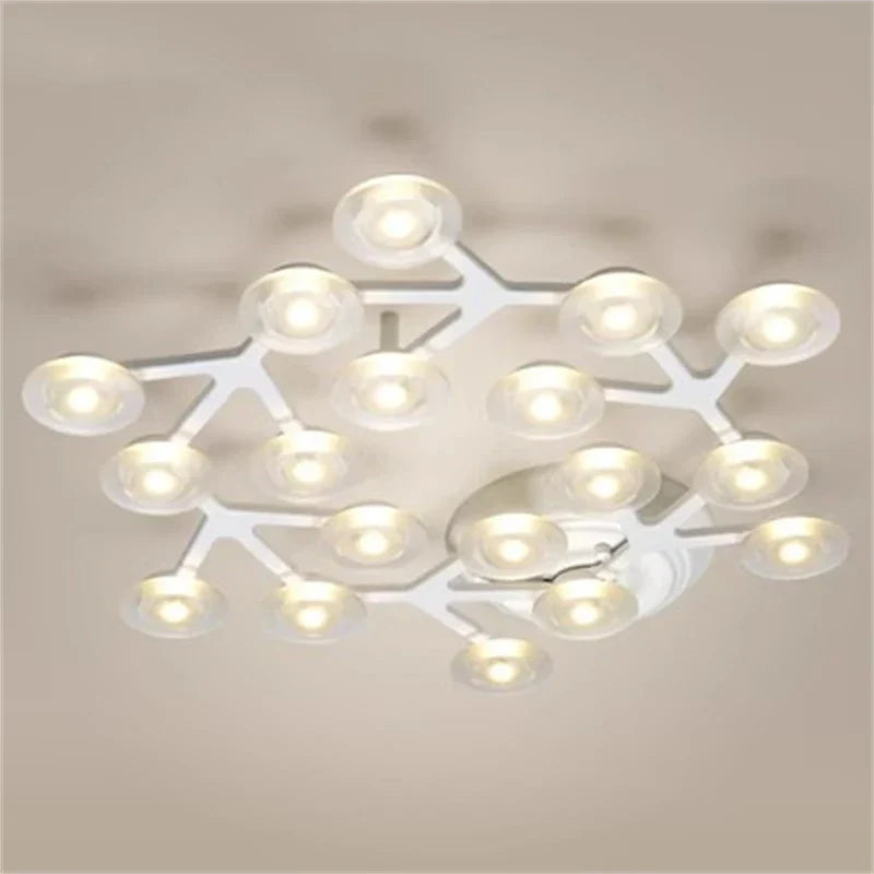 Star ceiling light