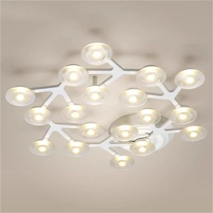 Star ceiling light