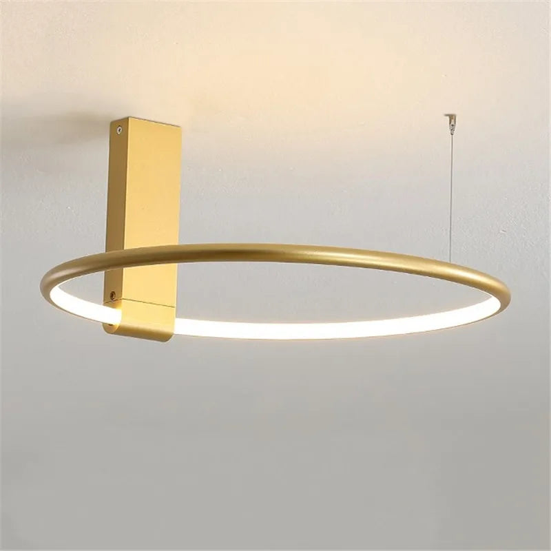 Rotating LED ceiling light
