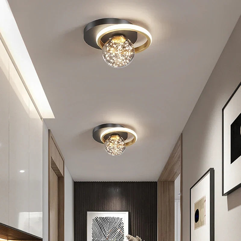 Elegant black ceiling light