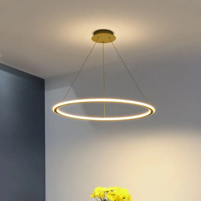Ring LED Pendant, view 4