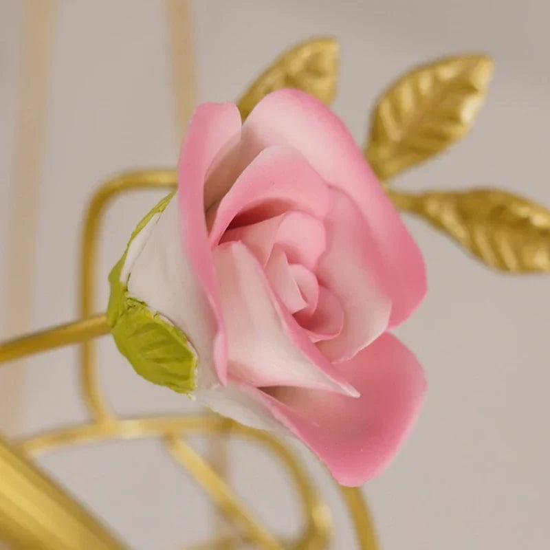 Provence, view 5