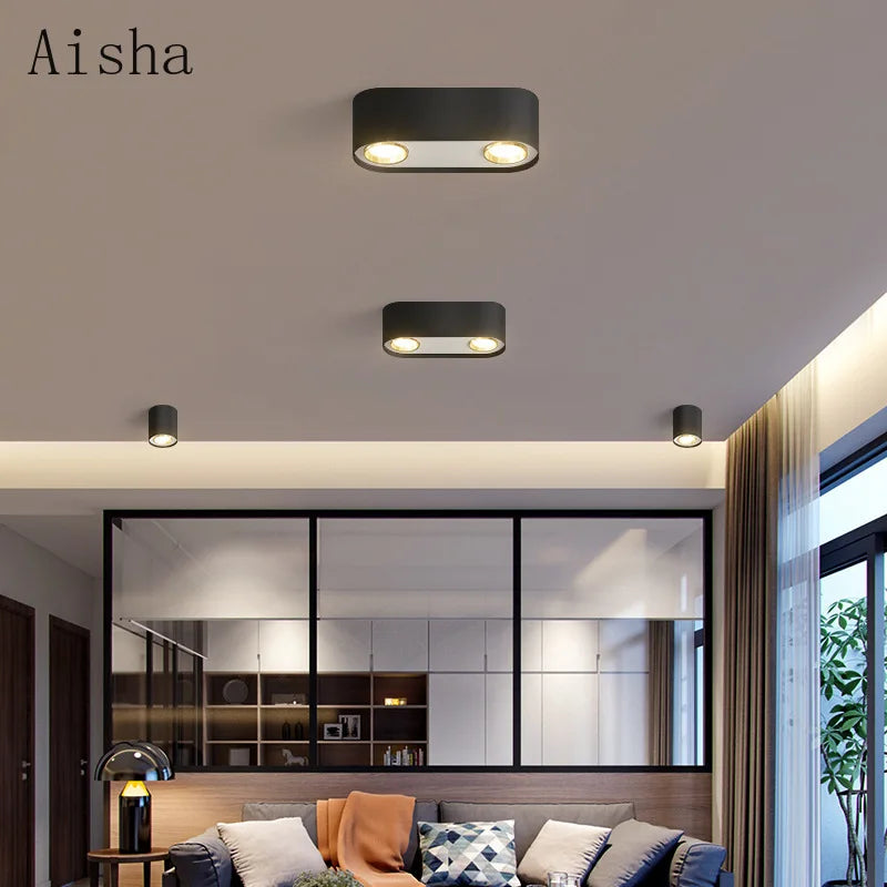 Double head ceiling light