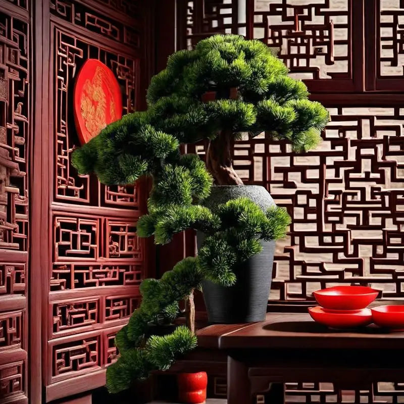 Bonsai Cinese, view 3
