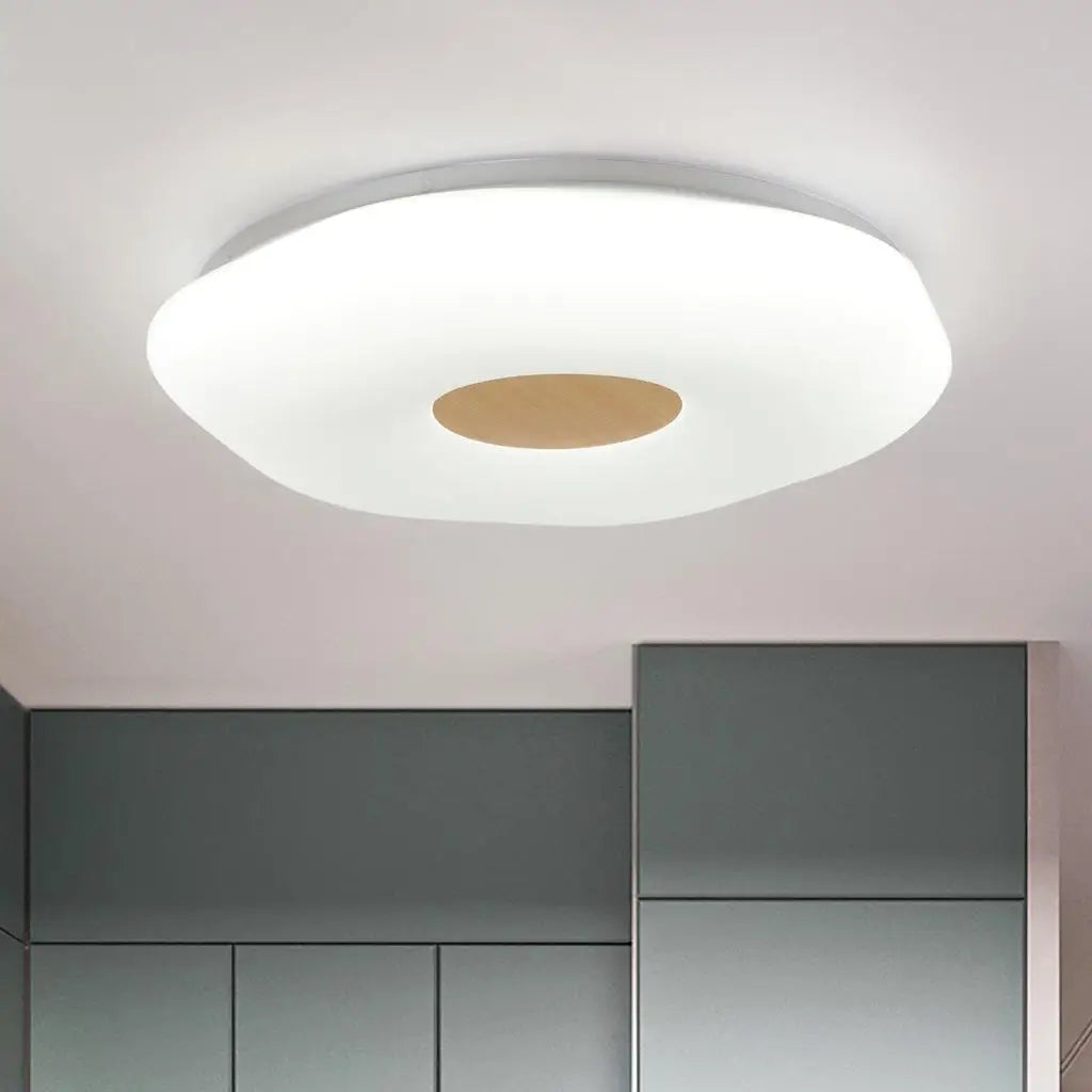 Industrial LED ceiling light