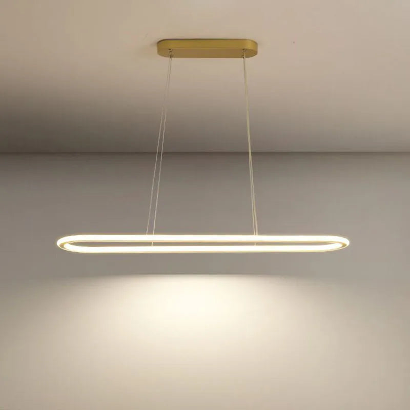 Aluminum ring LED pendant