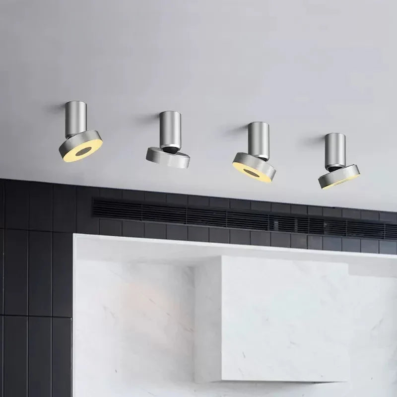 Spotlight LED ceiling light