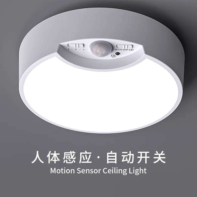 Motion sensor ceiling light