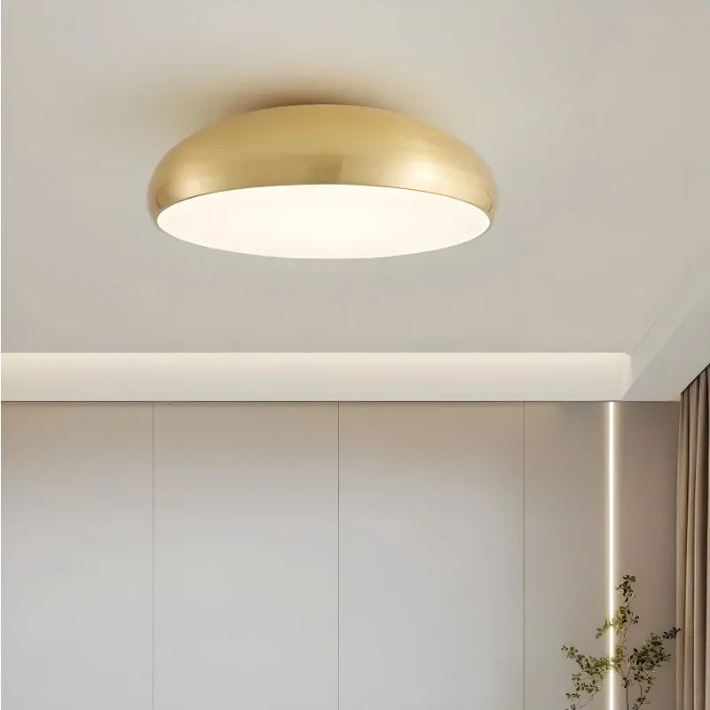 Copper ceiling light