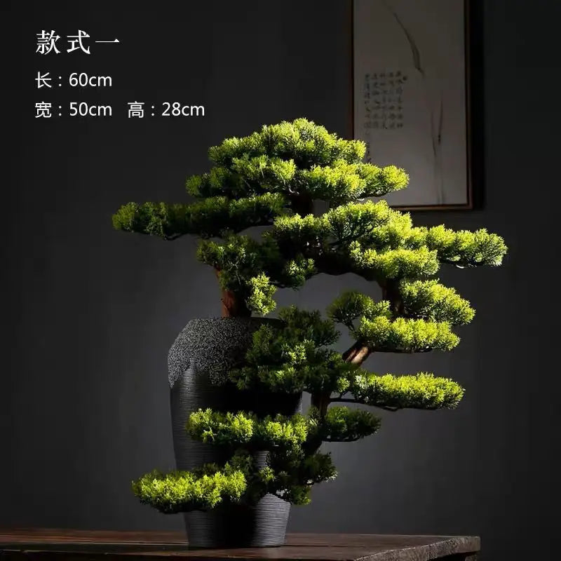 Bonsai Cinese, view 4