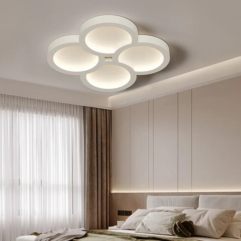 Petali Moderni, view 5