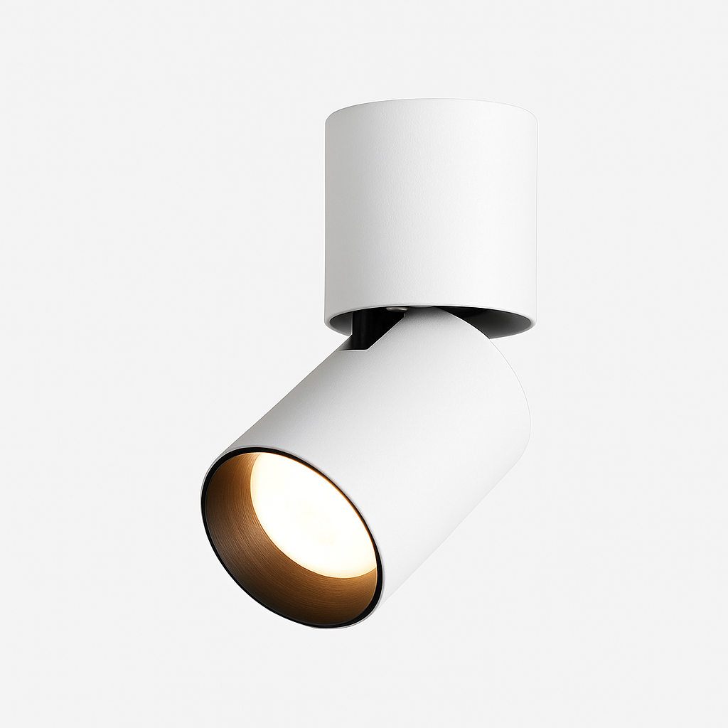 Adjustable cylinder spotlight