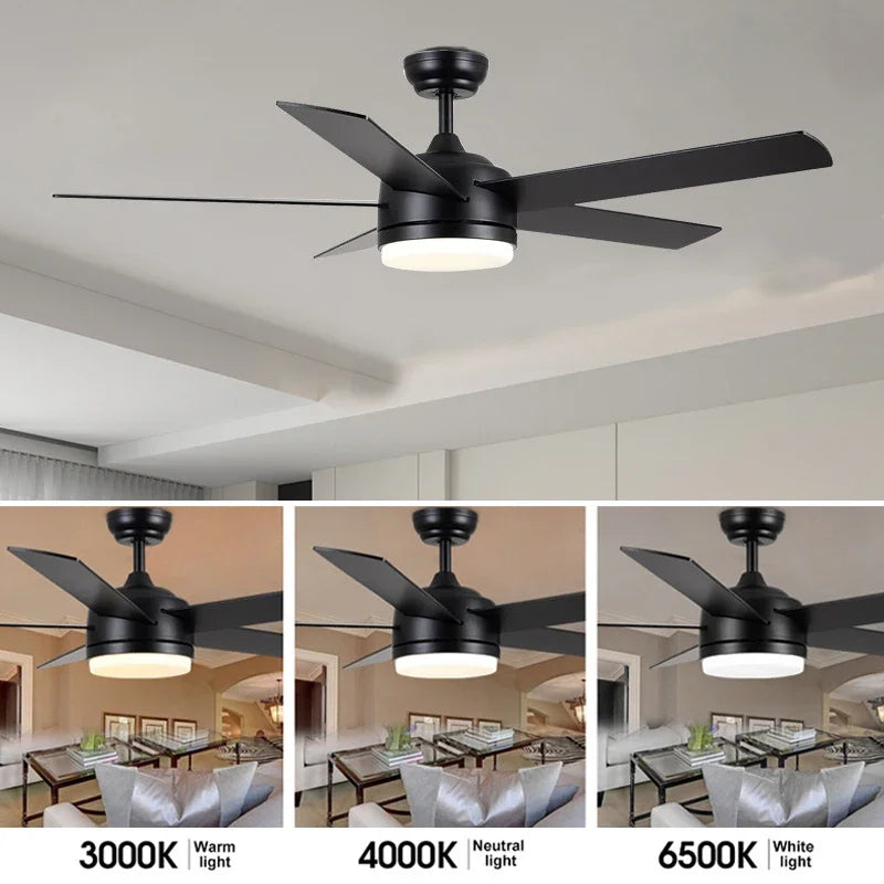 Black 52 in fan