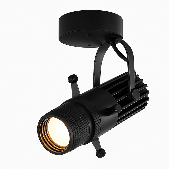 Adjustable beam LED spotlight
